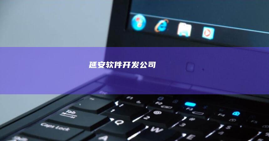 延安软件开发公司