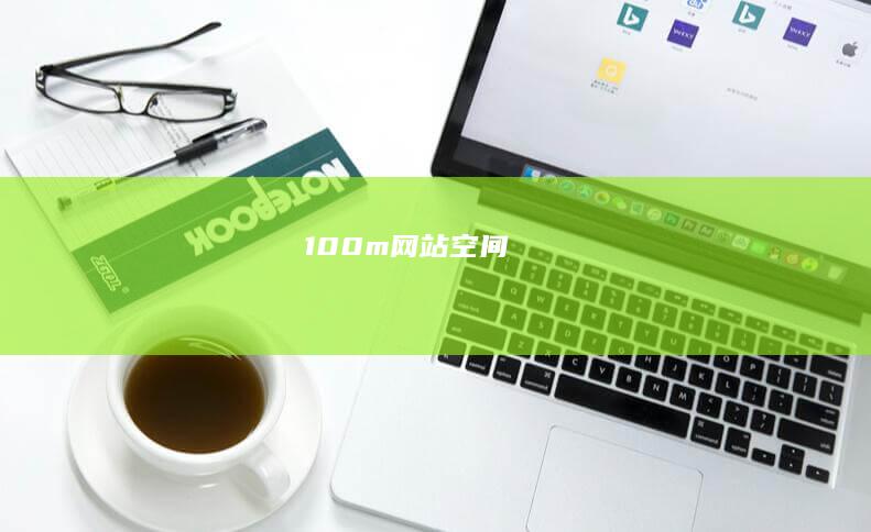 100m网站空间