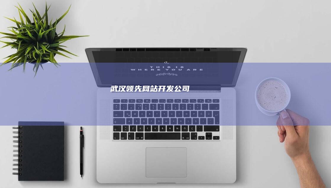 武汉领先网站开发公司