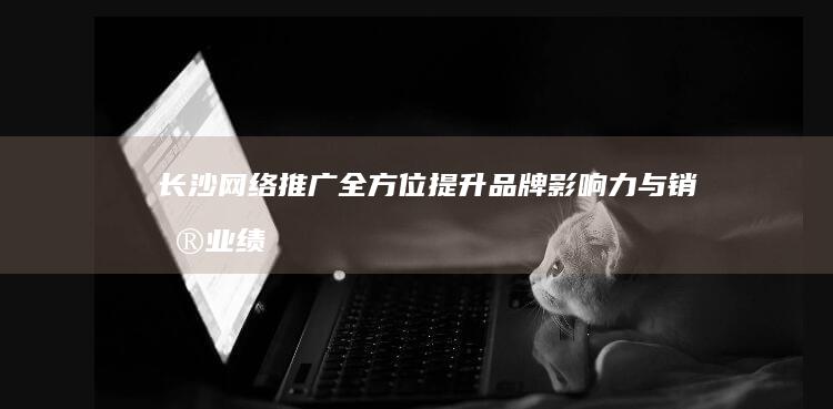 长沙网络推广与销售业绩