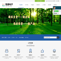 东莞市企石致嘉电子厂