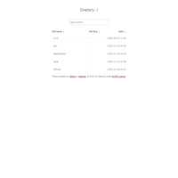 Nginx Directory