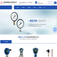 一般压力表-弹簧管压力表-波登管压力表-无锡市特种压力表有限公司