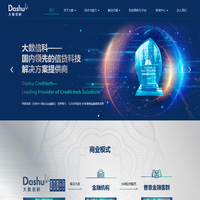 大数信科 - 领先的信贷科技解决方案提供商