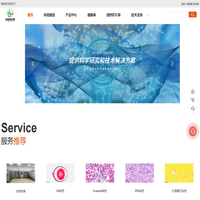 病理实验外包-组织包埋-组织切片-免疫组化-形态染色-上海睿宝和生物科技有限公司