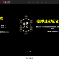 SEO·品牌推广·网络营销策划·王通