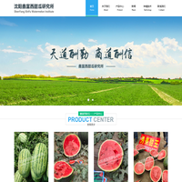 西瓜种子,新民西瓜种子哪家好,沈阳市鑫富西甜瓜研究所,鑫品甜王西瓜种子销售