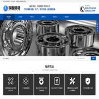 进口五金SKF轴承_螺母_端盖_滚珠丝杠批发-广州李酯贸易有限公司