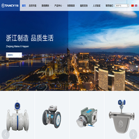 天信仪表集团有限公司