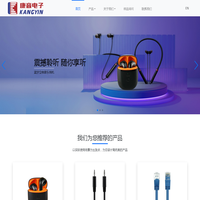 康音电子科技