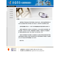 金鼎网络_洪湖网页设计_洪湖网站建设_洪湖网页制作_洪湖做网站_洪湖网络公司_武汉天达世纪