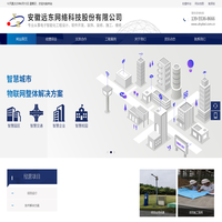 安徽远东网络科技股份有限公司